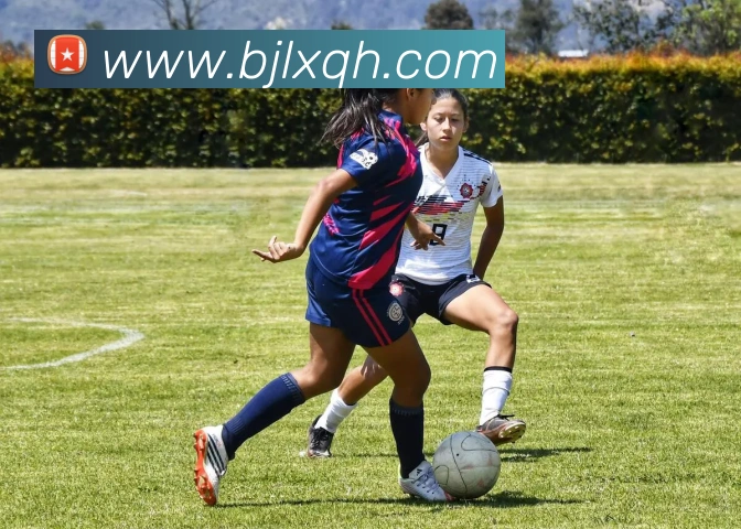 澳门百家乐网站平台生态图